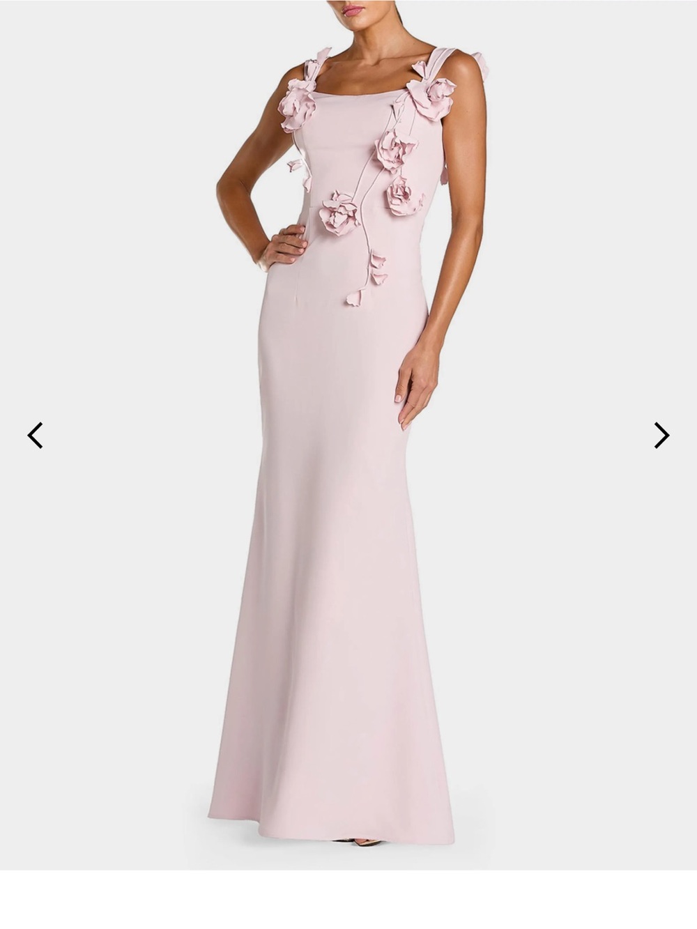 Mac Duggal Blush Pink Floral-Appliqué Maxi Gown